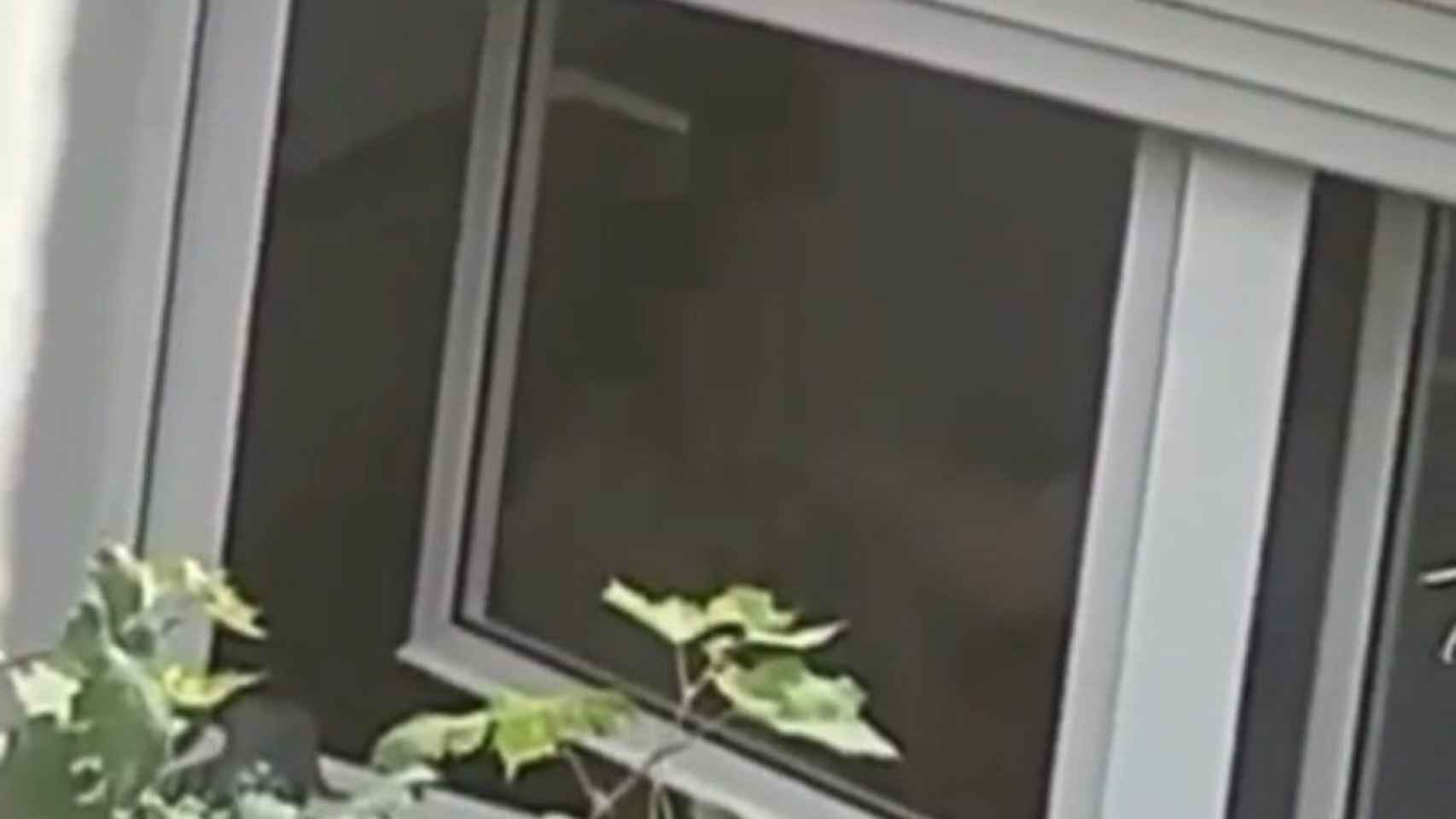 Una anciana, atacada por su hijo en un piso en Badalona / REDES SOCIALES