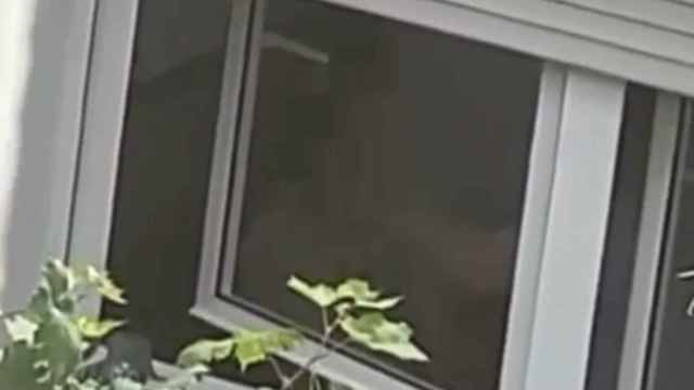 Una anciana, atacada por su hijo en un piso en Badalona / REDES SOCIALES