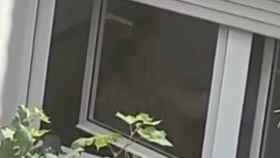 Una anciana, atacada por su hijo en un piso en Badalona / REDES SOCIALES