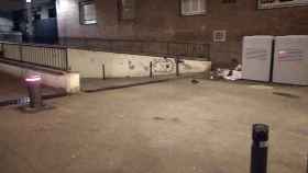 Rata en Sant Andreu