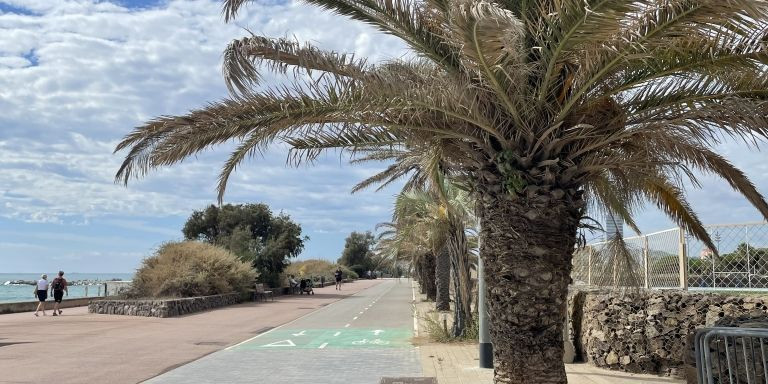 Y así es cómo quiere que luzca el Movimiento Diagonal Mar, en una imagen del
paseo Marítim del Bogatell, en la parte que da al barrio del Poblenou / METRÓPOLI