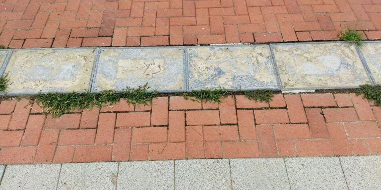 Placas de la plaza dels Campions, destrozadas / METRÓPOLI - JS