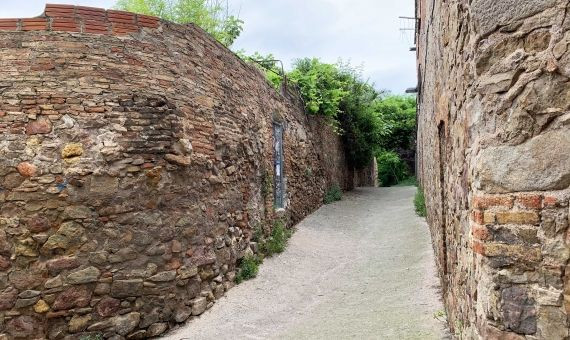 El passatge antic de València, un camí rural al barri de la Satàlia / REDES - @Bcnsingular