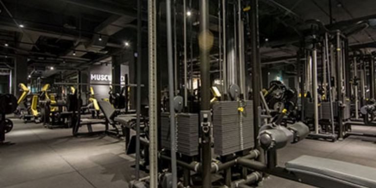 Instalaciones del gimnasio Fitness Park / FITNESS PARK