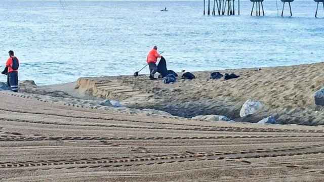 Operarios de limpieza en una playa de Badalona (AMB) / @2Putxinellii