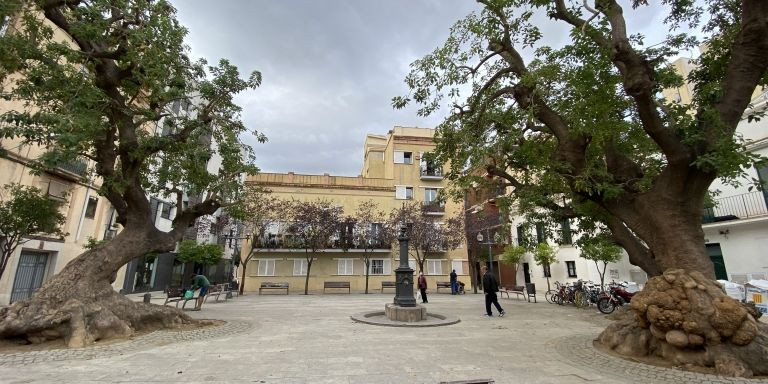 Plaza del Pi del Poblenou, donde se encuentra Els Pescadors / METRÓPOLI