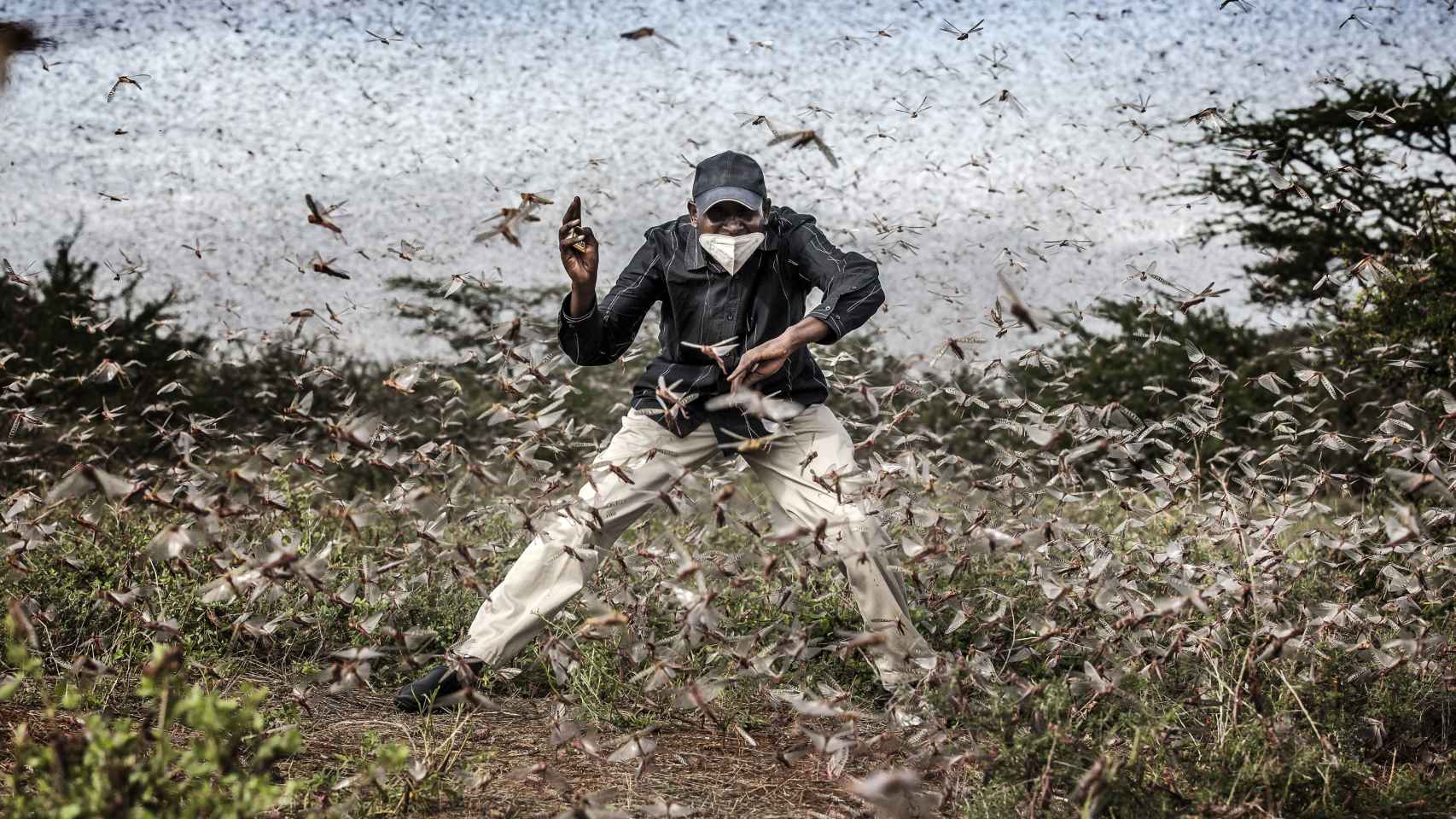 Luis Tato, español residente en Kenia, que ha ganado el tercer premio en la categoría de Naturaleza / WORLD PRESS PHOTO