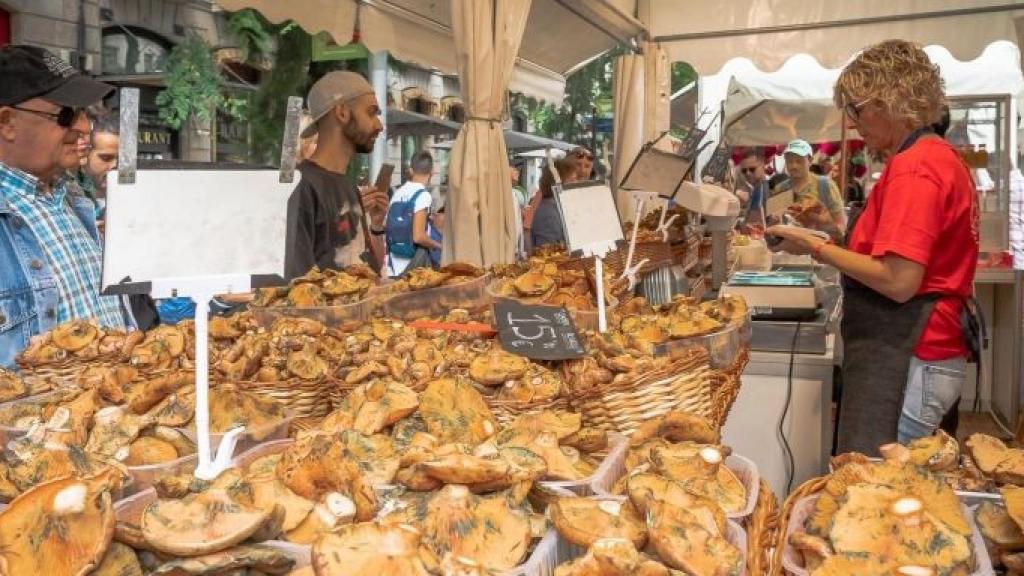 Una parada de níscalos en el Mercat de Mercats