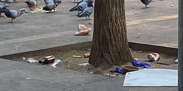 Suciedad en Sant Antoni / CEDIDA