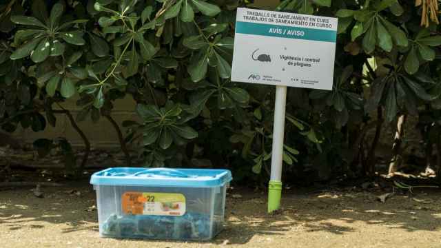 Trabajos de saneamiento contra una plaga de ratas en Barcelona / AYUNTAMIENTO DE BARCELONA