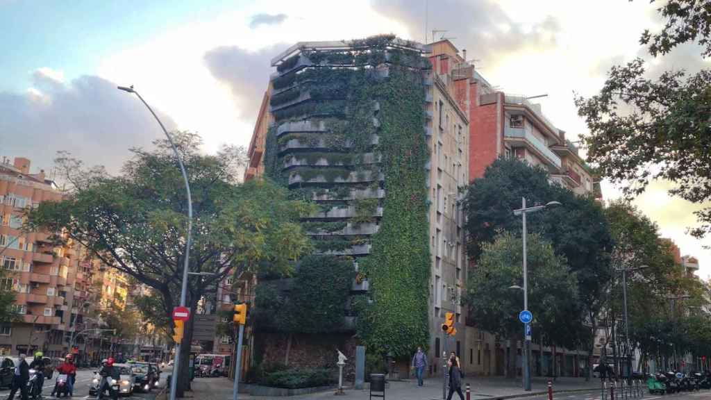 Pared vertical y vegetal de los jardines Tarradellas de les Corts / INMA SANTOS