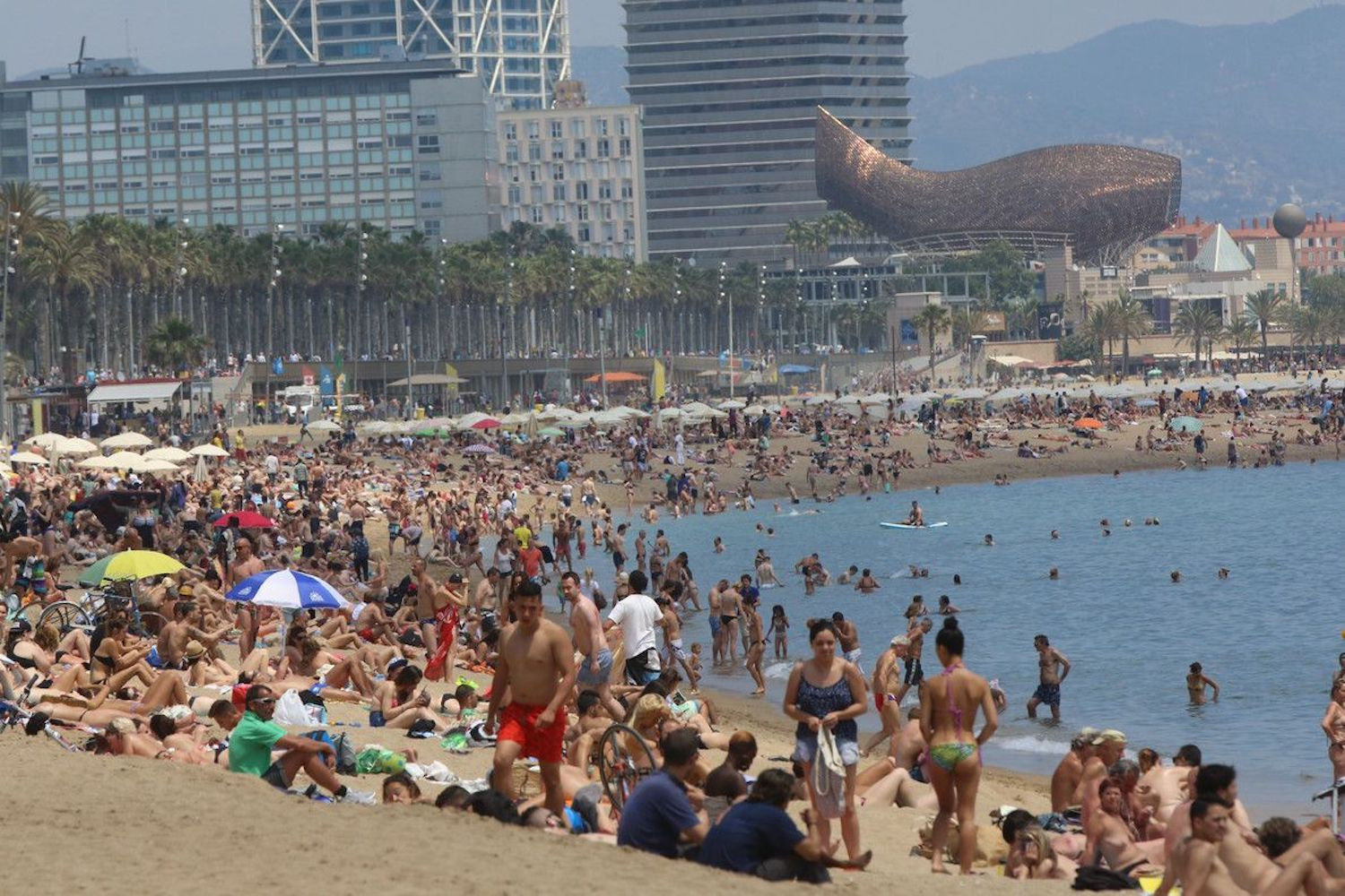 La playa de La Barceloneta, una de las playas de Barcelona con mayor afluencia, a rebosar de gente en una imagen de archivo / EFE