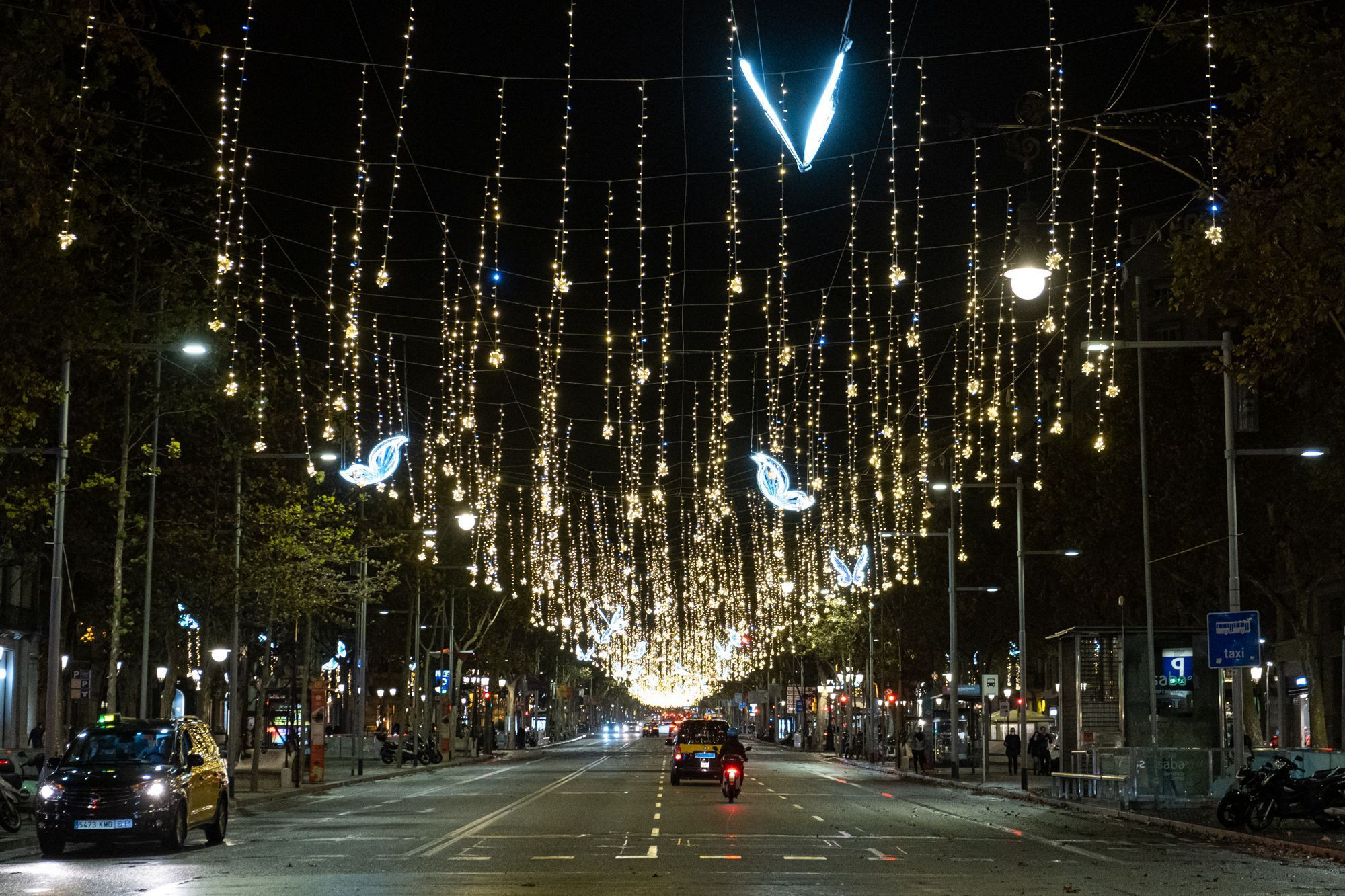 Luces de Navidad en el paseo de Gràcia / METRÓPOLI