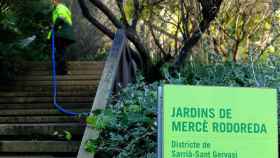 Jardines de Mercè Rodoerda en el barrio de Barcelona donde tuvo lugar el incidente / AJUNTAMENT