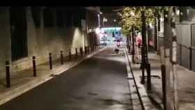 Una manada de jabalíes, este jueves, junto al paseo de Sant Gervasi / TWITTER JORDINA BARCELÓ