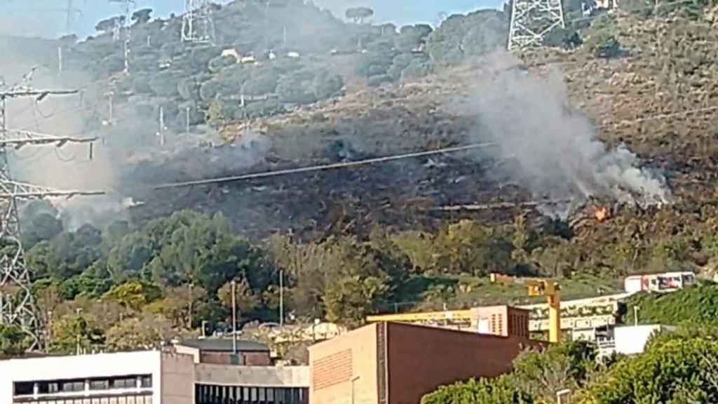 Una parte del incendio de Roquetes, este sábado / betevé