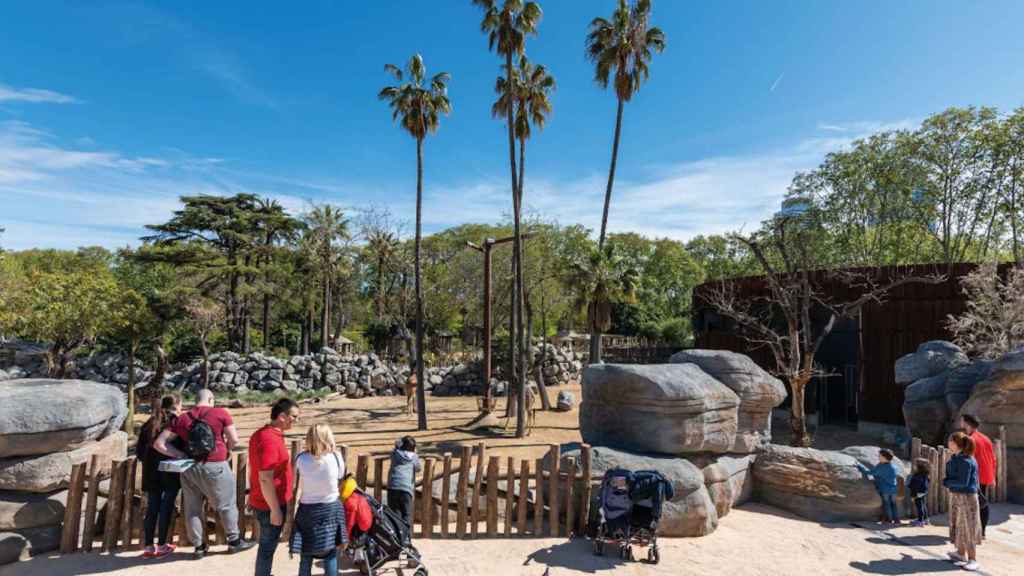 Una instalación del Zoo de Barcelona / ZOO DE BARCELONA