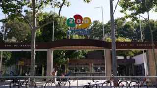 El Zoo de Barcelona se queda sin carne para sus animales