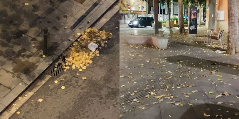 Acumulación de hojas secas que podría provocar inundaciones en el Raval / TWITTER