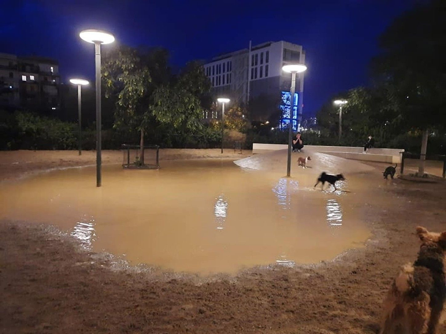 Pipican de Barcelona inundado tras un episodio de lluvias / ESPAI GOS BCN