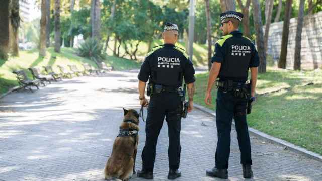 Dos agentes de la Guardia Urbana junto a un perro de la Unidad Canina