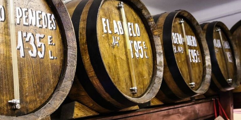 Barriles de vino para comprar a granel / NOU CELLER PUIGCERDÀ