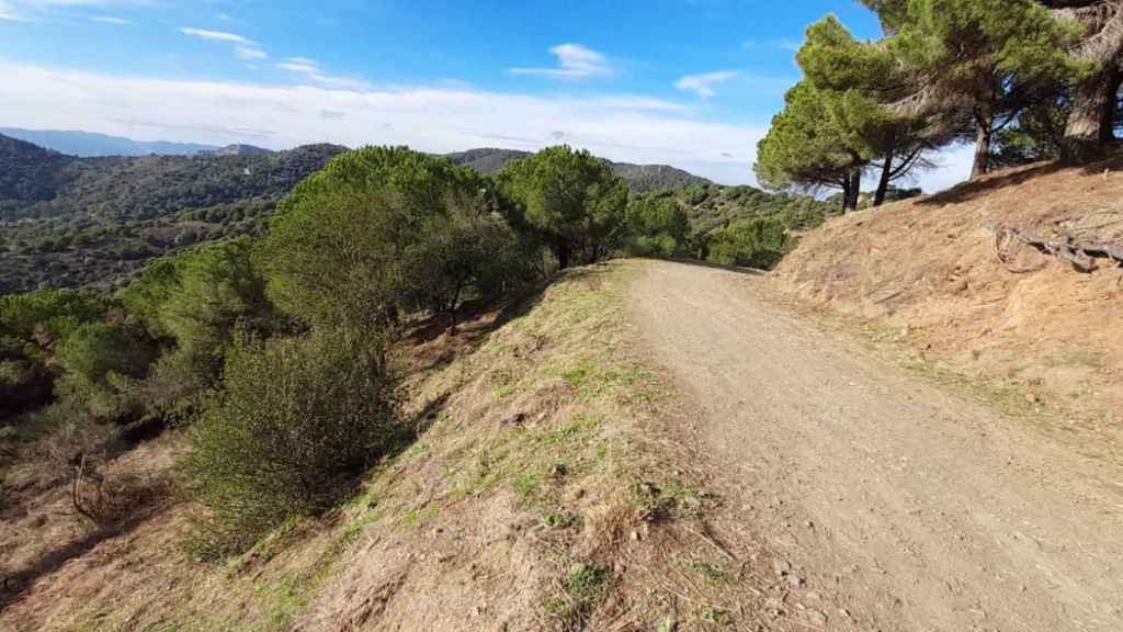 Actuaciones forestales en el Parc Natural de la Serra de Collserola / AMB