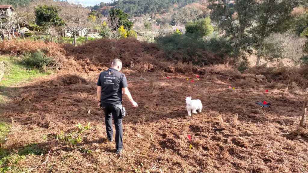 Una imagen de los investigadores en la finca donde apareció el cadáver / EL ESPAÑOL