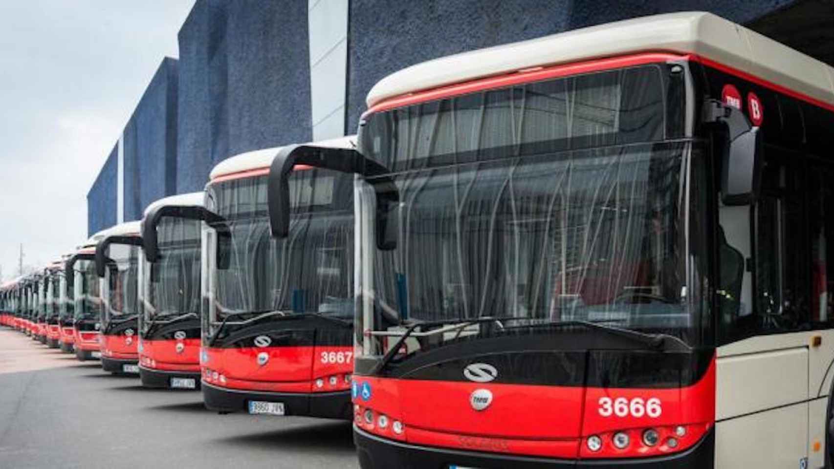 Flota de autobuses de TMB en una imagen de archivo / TMB