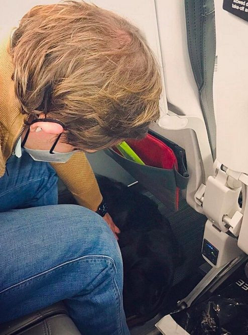 Ignasi Cambra y su perro guía, por fin en el avión hacia Lisboa / IGNASI CAMBRA - INSTAGRAM