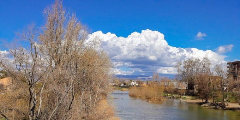 Río Segre donde han encontrado a aves muertas por la gripe aviar / ARCHIVO