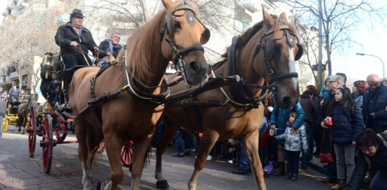 Cabalgata de los Tres Tombs en una edición anterior / AJUNTAMENT DE BARCELONA