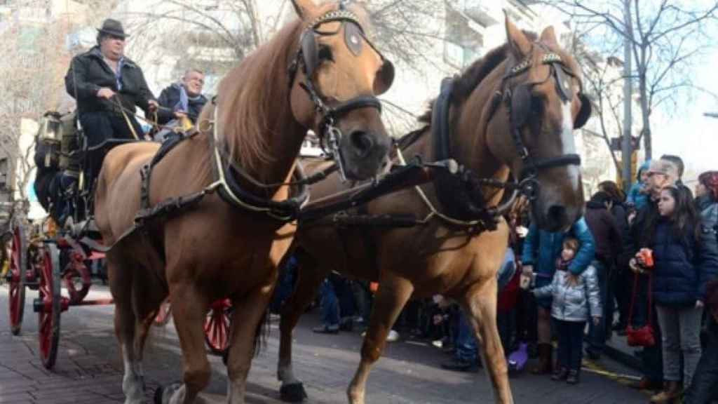 Cabalgata de los Tres Tombs en una edición anterior / AJUNTAMENT DE BARCELONA