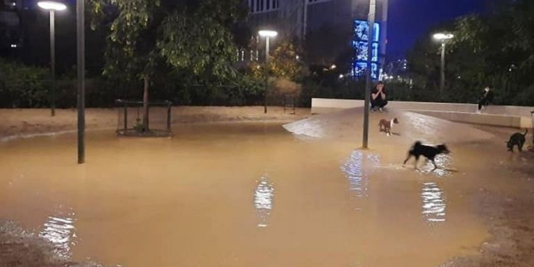 Espacio de ocio para perros inundado / ESPAI GOS BCN