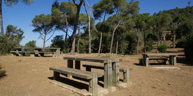 Aquí se puede comer en el área de descanso de La Salut / PARC NATURAL DE COLLSEROLA