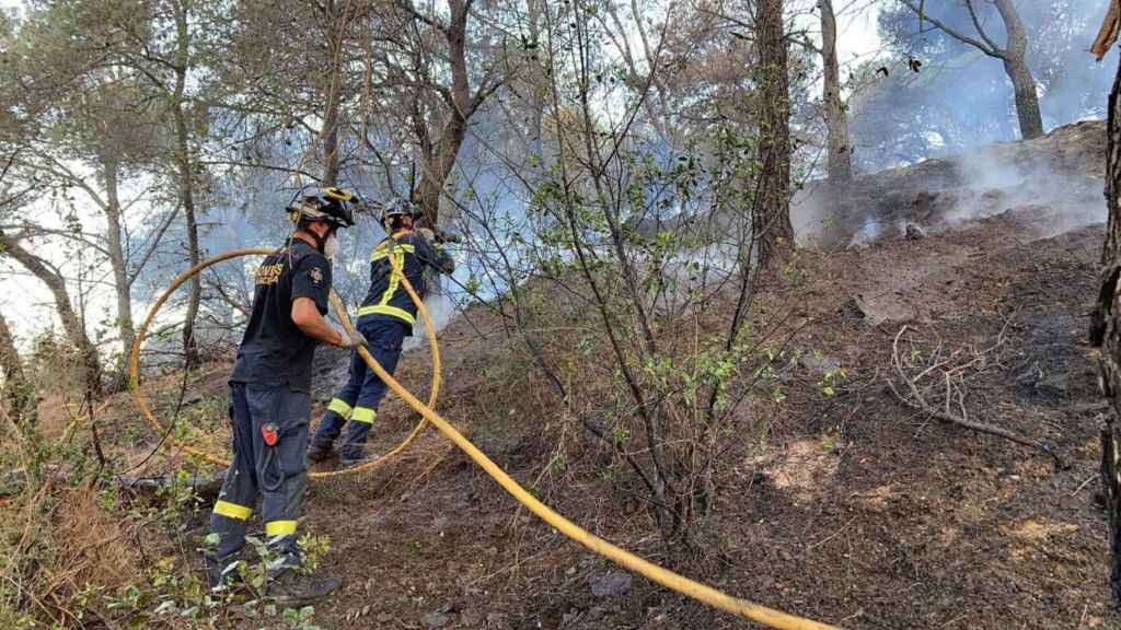 Bomberos de la Generalitat en Collserola / BOMBERS