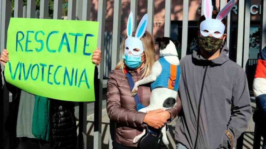 Manifestantes en la protesta contra el sacrificio de 38 cachorros Beagle en Barcelona / EUROPA PRESS