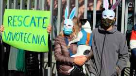 Manifestantes en la protesta contra el sacrificio de 38 cachorros Beagle en Barcelona / EUROPA PRESS