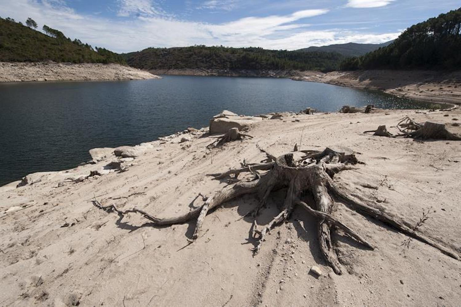 Imagen de archivo de la sequía en un pantano / EFE