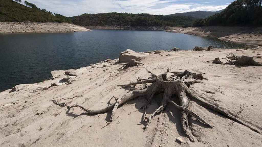 Imagen de archivo de la sequía en un pantano