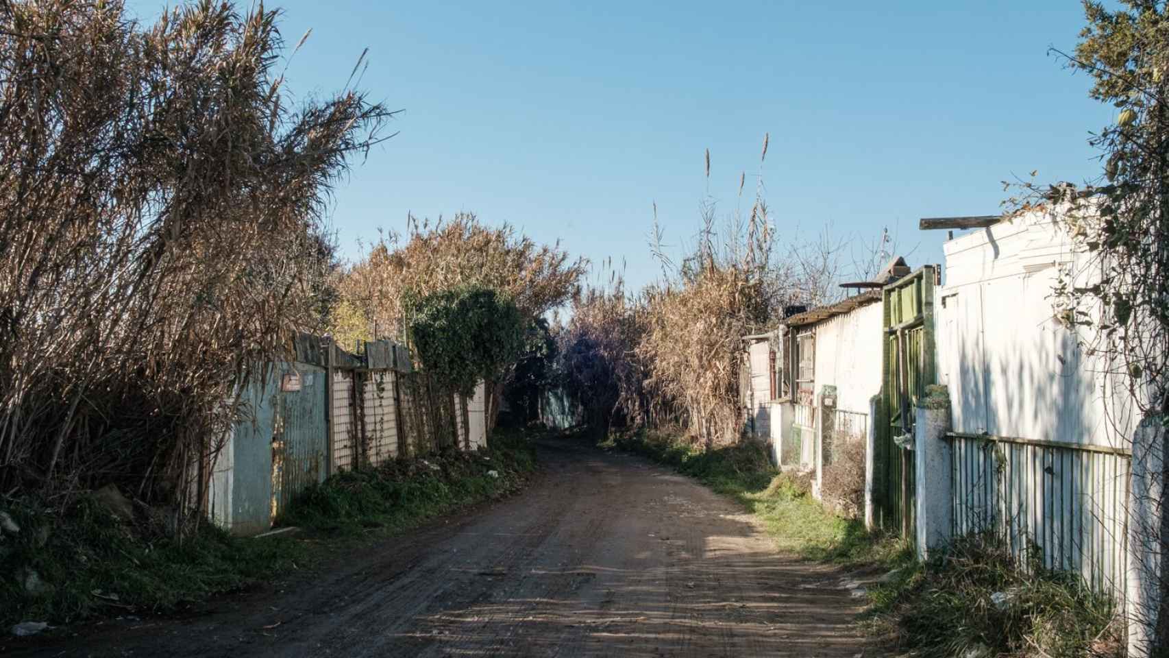 Camino en el poblado de chabolas de Montcada / PABLO MIRANZO