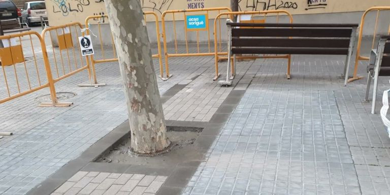 Uno de los árboles de Badalona con cemento en el alcorque / TWITTER