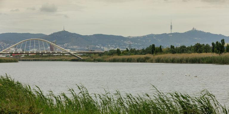 Río Llobregat / AIGÜES DE BARCELONA