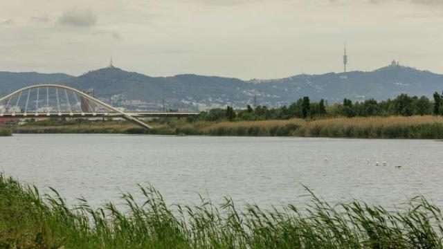 Río Llobregat / AIGÜES DE BARCELONA