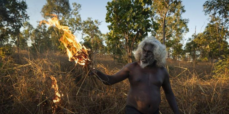 Salvando bosques con fuego / Matthew Abbott