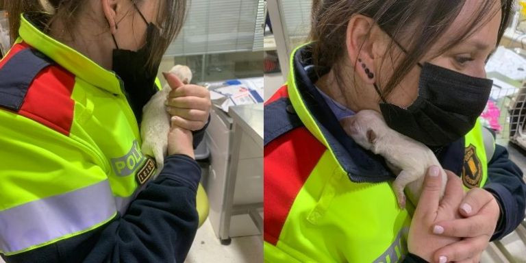 Una agente de los Mossos con un cachorro / CEDIDAS