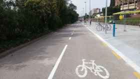 Carril bici en el lateral de la Diagonal / AJ BCN