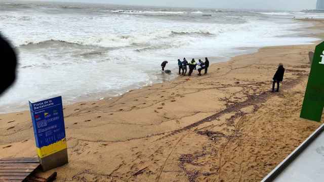 Los Mossos d'Esquadra rescatan a un surfista durante un temporal en enero de 2020 / @mgautamnagpal