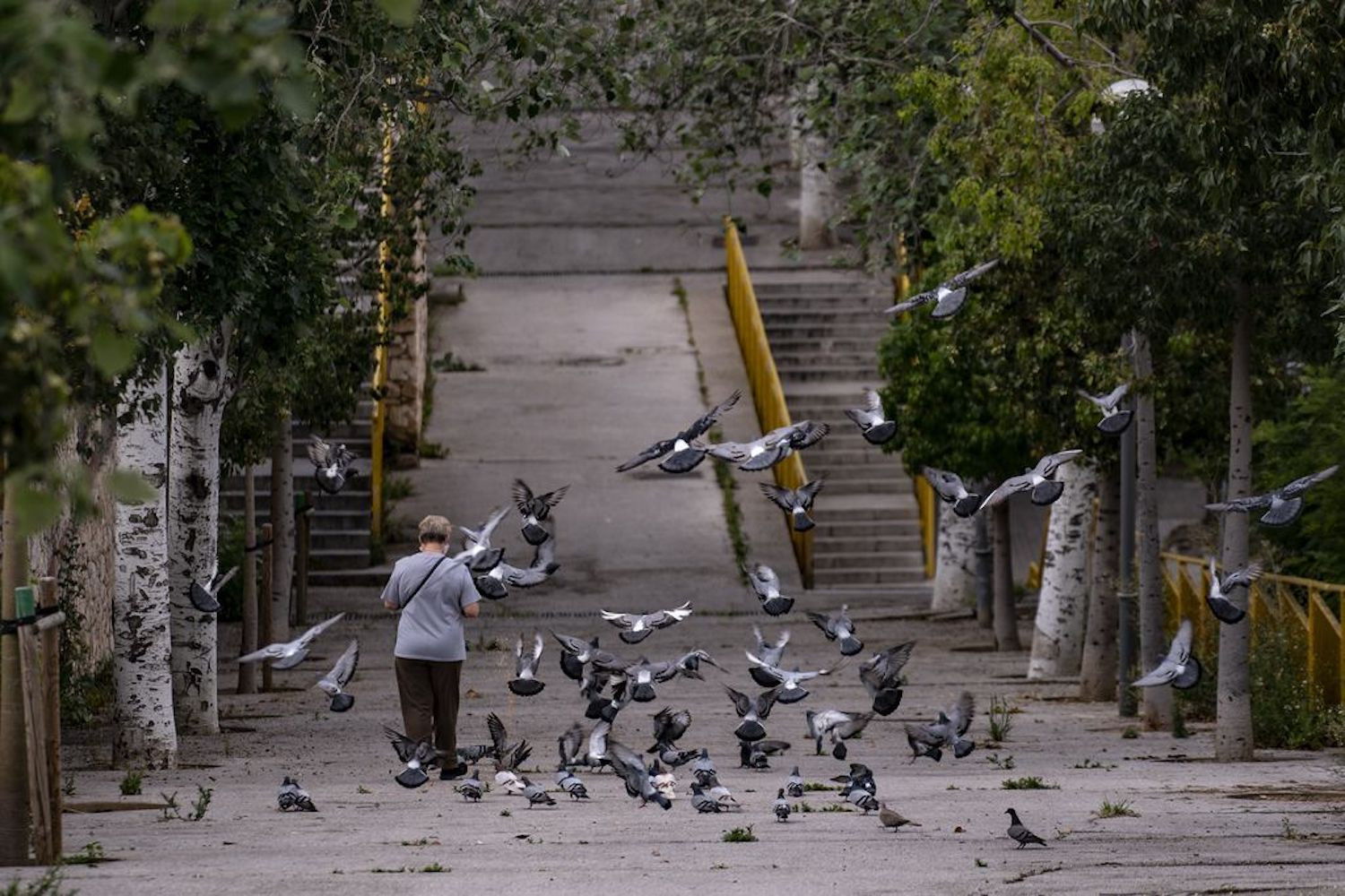 Una mujer da de comer a las palomas en la rambla del Carmel / AYUNTAMIENTO DE BARCELONA