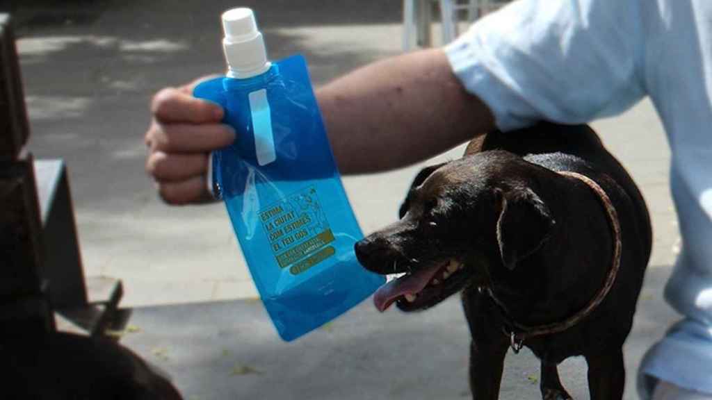 Un perro junto a una botella para limpiar sus orines / AYUNTAMIENTO DE BARCELONA